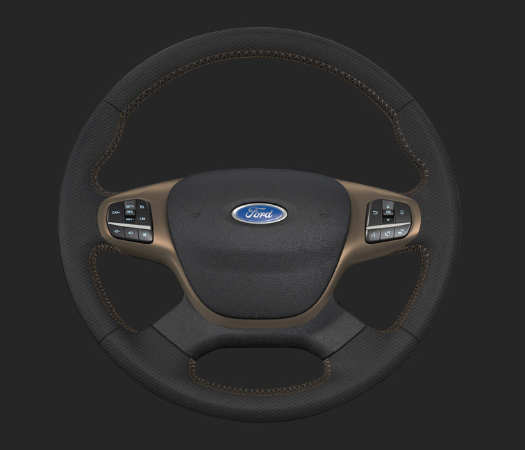 Steering Wheel with Bronze Details